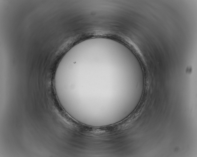 X0000090860257200707270939