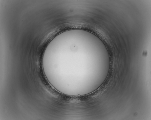 X0000090860258200707270939