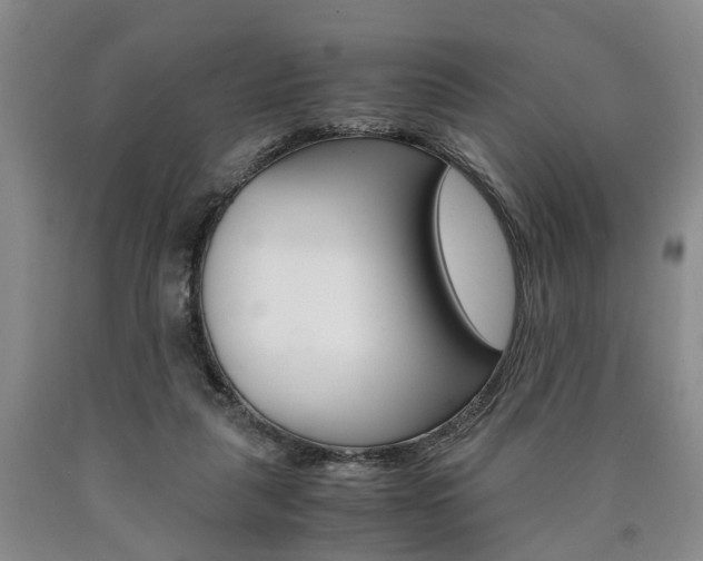 X0000090860259200707270940