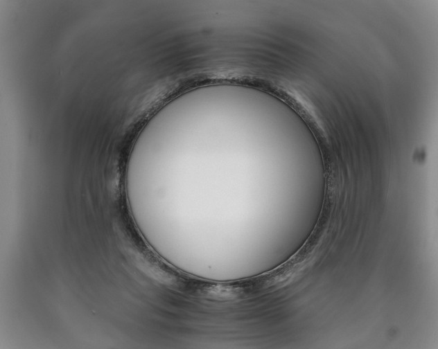 X0000090860261200707270940