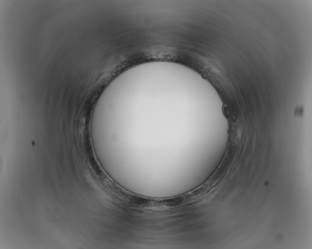 X0000090860263200707270940