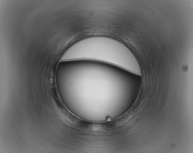 X0000090860264200707270940