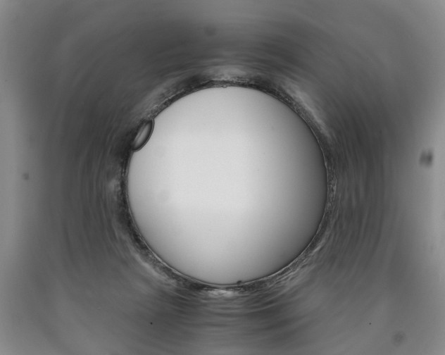 X0000090860265200707270940