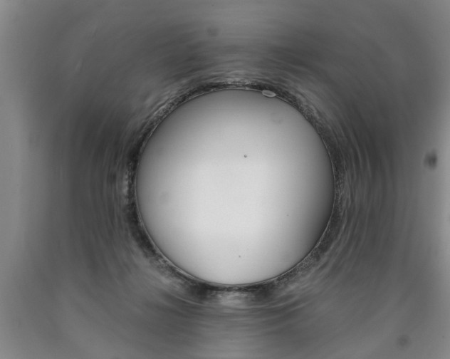 X0000090860268200707270940