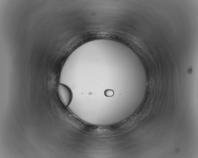 X0000090860270200707270940