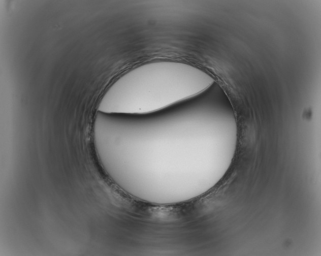 X0000090860273200707270940