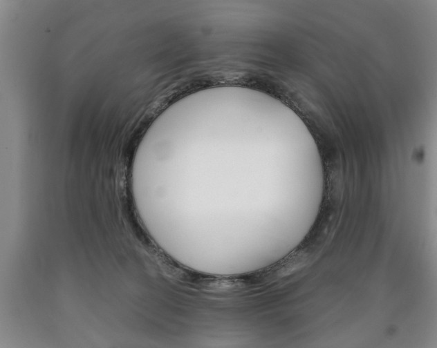 X0000090860274200707270940
