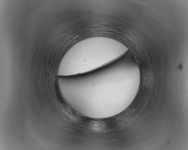 X0000090860275200707270940