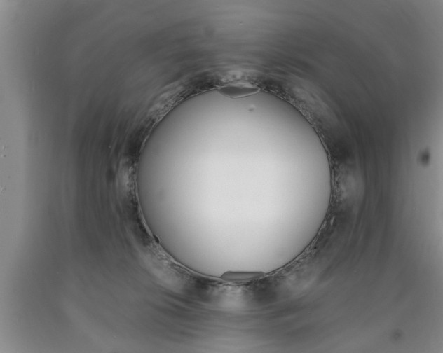 X0000090860276200707270940