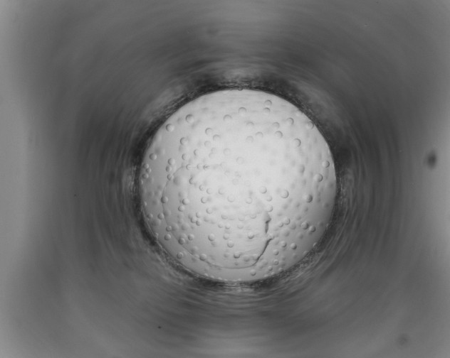 X0000090860278200707270940