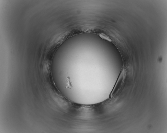X0000090860280200707270940