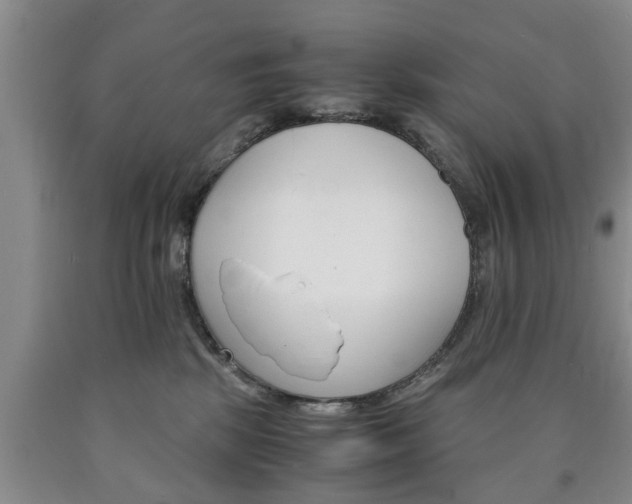 X0000090860281200707270940