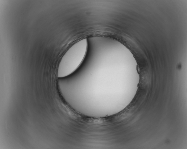 X0000090860282200707270940