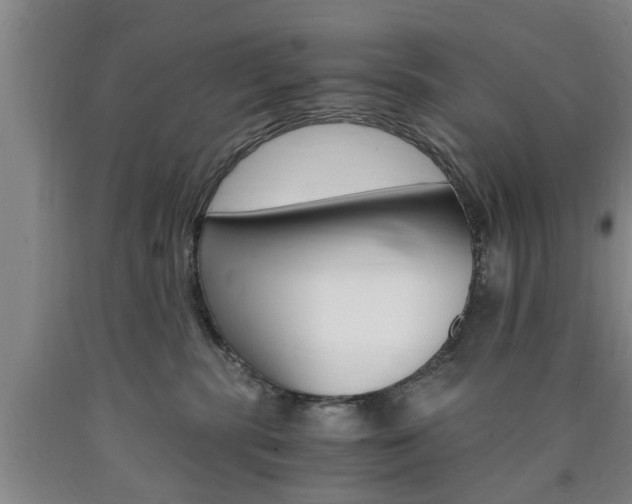 X0000090860283200707270940