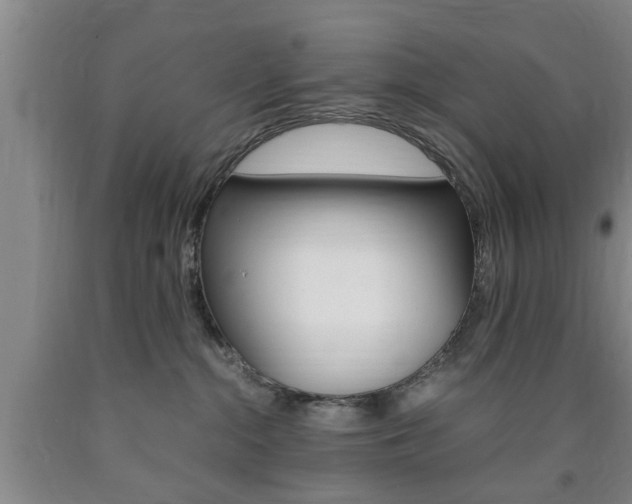 X0000090860284200707270940