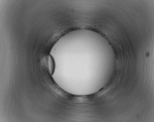 X0000090860286200707270940