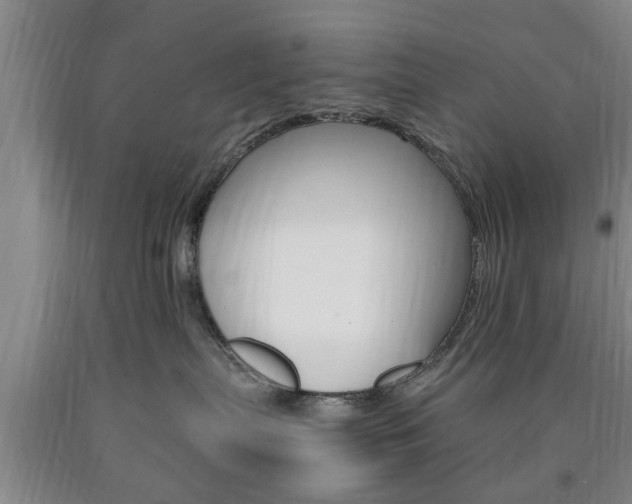 X0000090860287200707270940