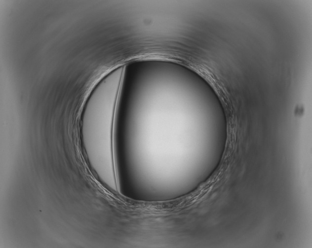 X0000090860289200707270939