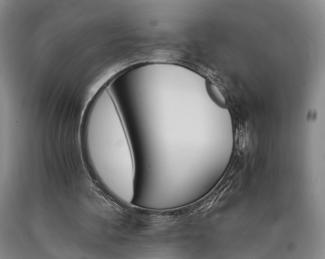 X0000090860292200707270939
