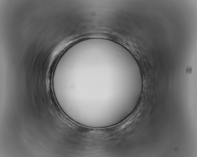 X0000090860294200707270939