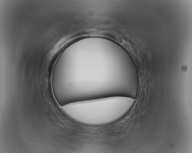X0000090860295200707270939