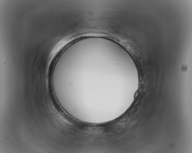 X0000090860296200707270939