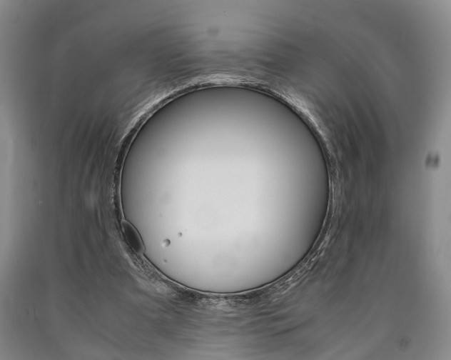 X0000090860297200707270939
