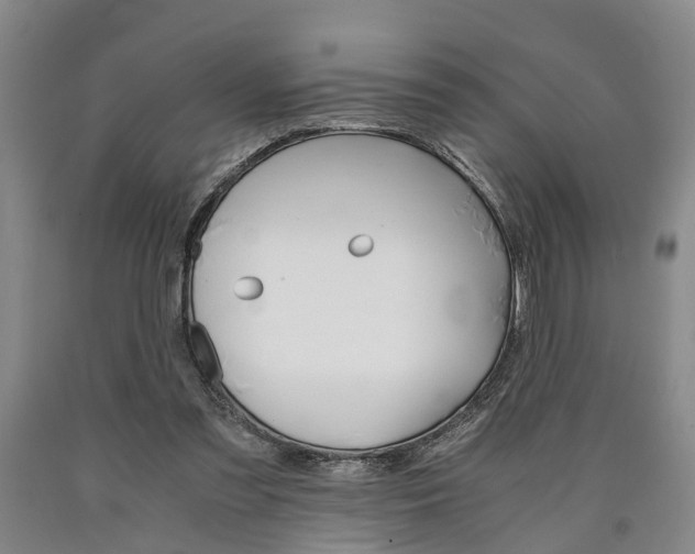 X0000090860301200707270939