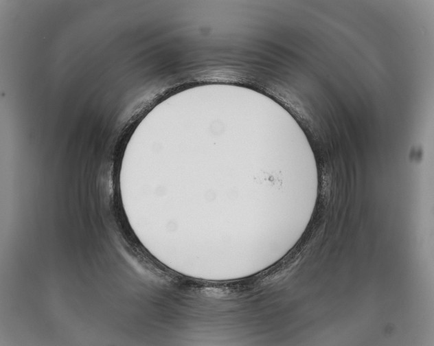 X0000090860302200707270939