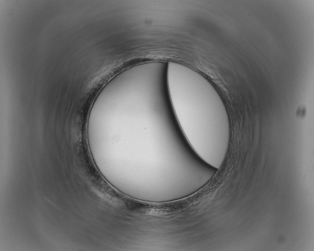X0000090860303200707270939