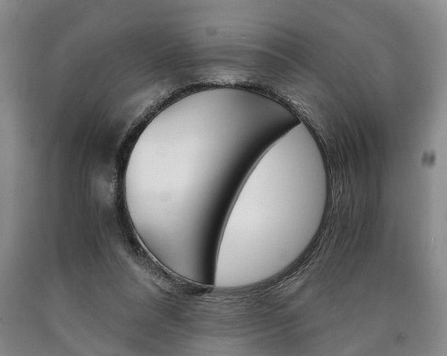 X0000090860304200707270939
