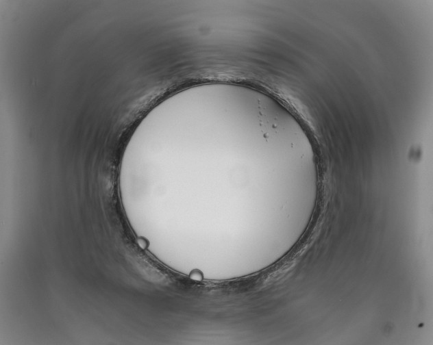 X0000090860305200707270939