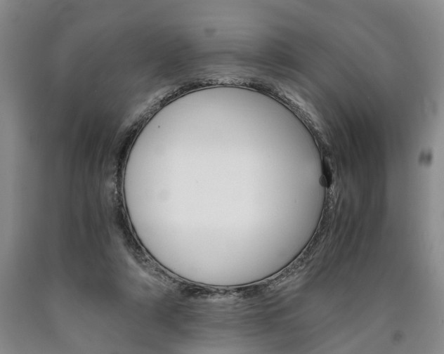 X0000090860306200707270939