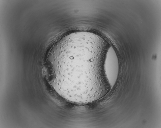 X0000090860307200707270939