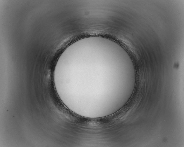 X0000090860308200707270939