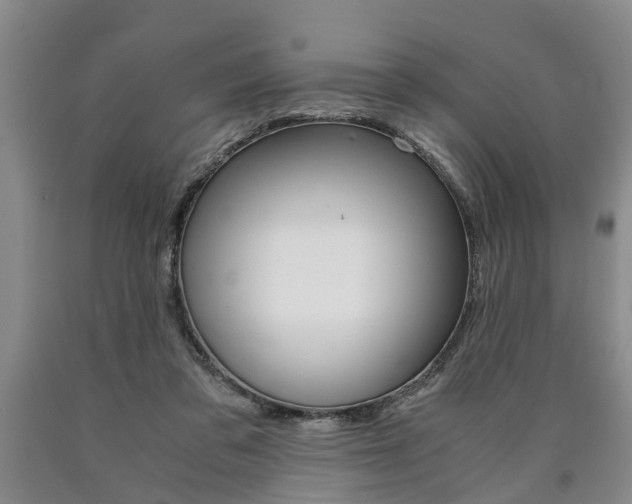 X0000090860309200707270939