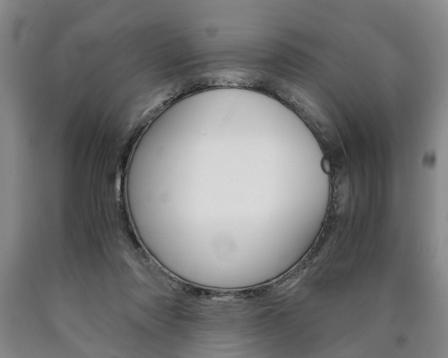 X0000090860310200707270939