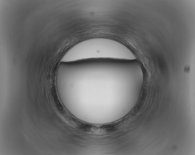 X0000090860311200707270939