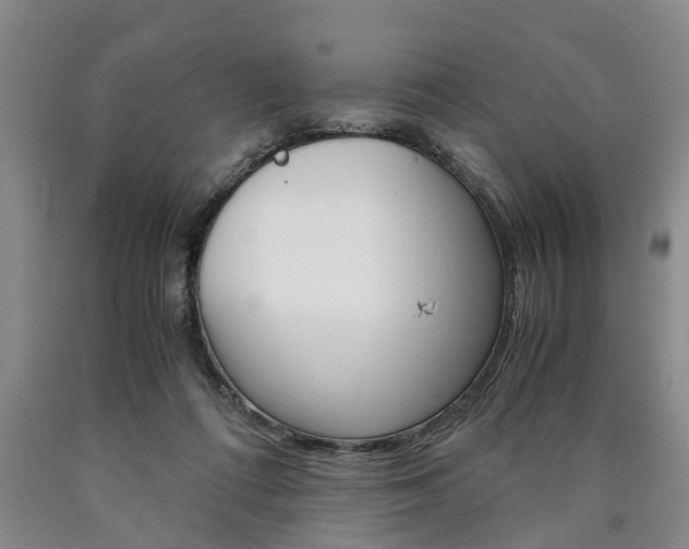X0000090860312200707270939