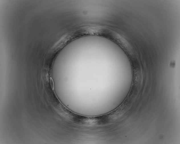X0000090860313200707270939