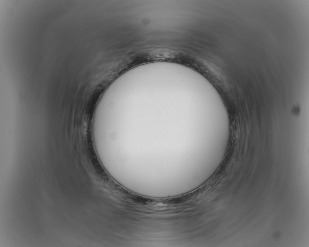X0000090860315200707270939