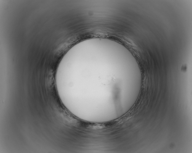 X0000090860318200707270939