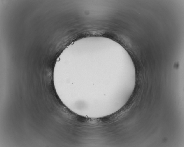X0000090860321200707270939
