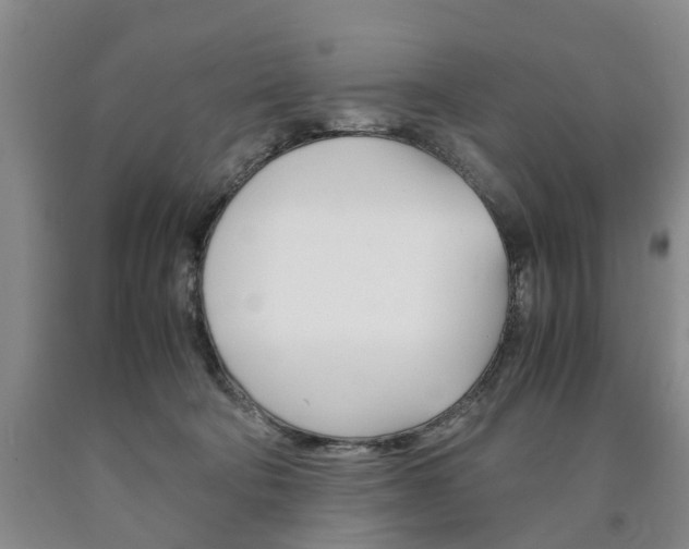 X0000090860322200707270939