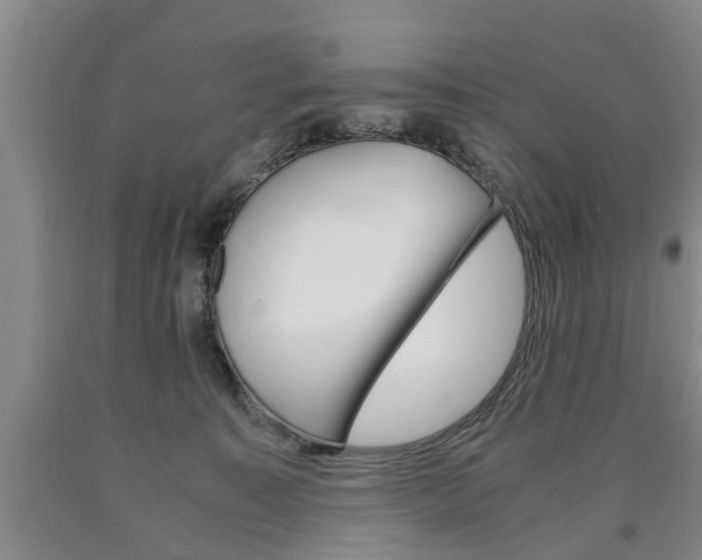 X0000090860323200707270939