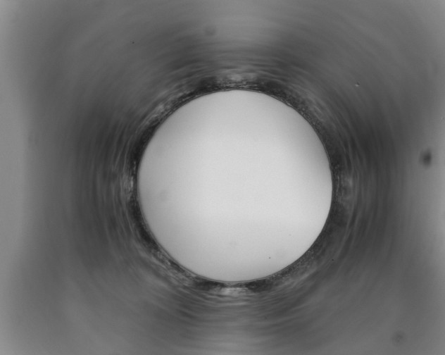 X0000090860324200707270939