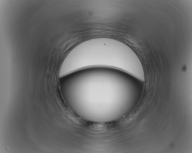 X0000090860325200707270939
