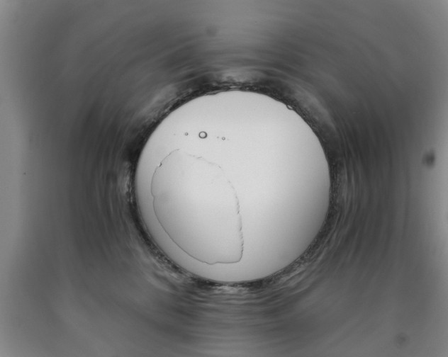 X0000090860328200707270939