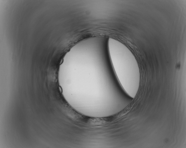 X0000090860331200707270939