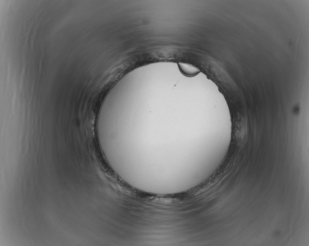 X0000090860332200707270939